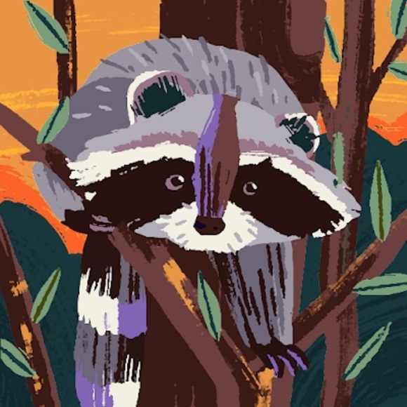 bushbaby24